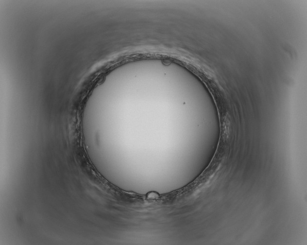 X0000115251494200911131714