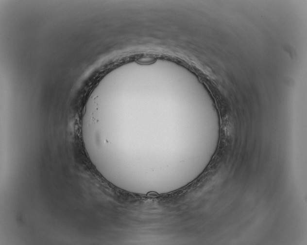 X0000115251495200911131714