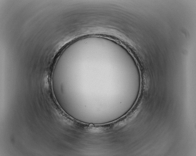 X0000115251497200911131714