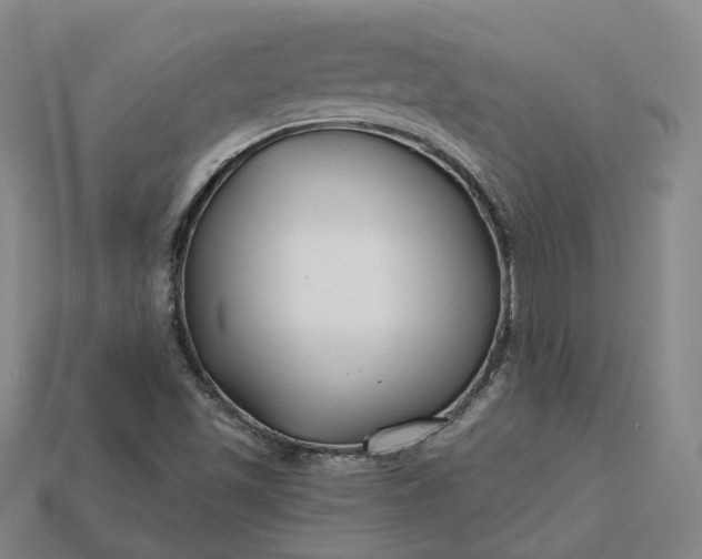 X0000115251501200911131714