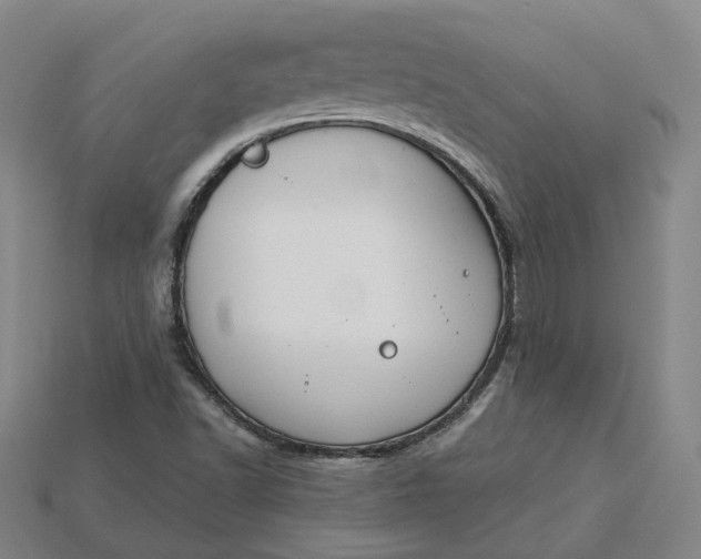 X0000115251502200911131714