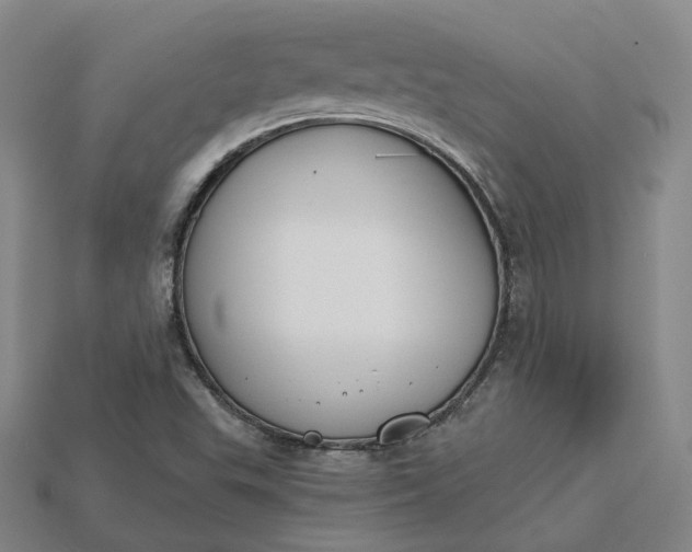 X0000115251503200911131714