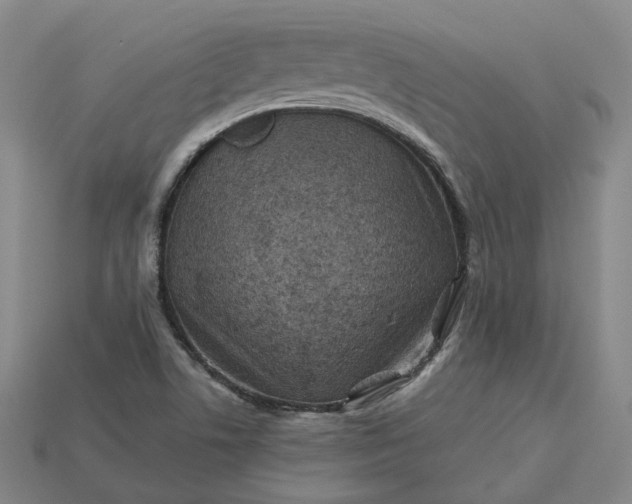 X0000115251506200911131714