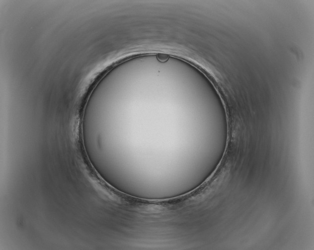 X0000115251507200911131714