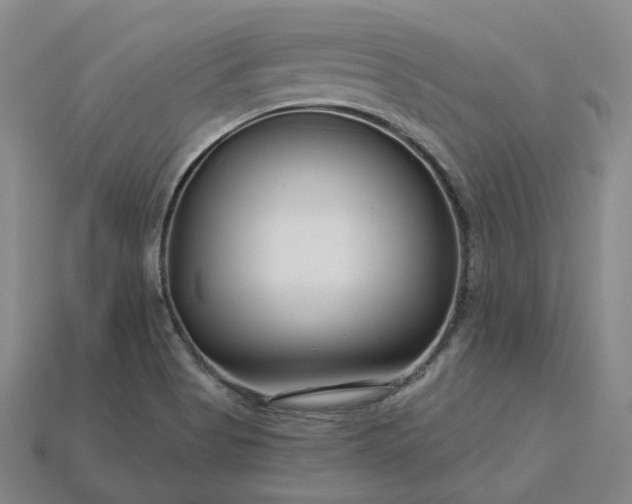 X0000115251513200911131714