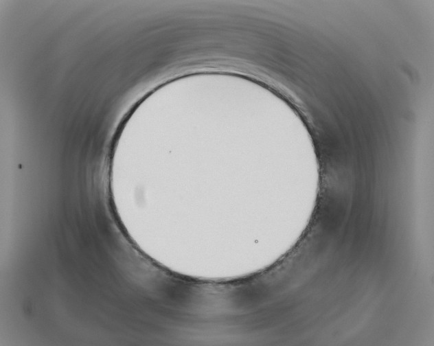 X0000115251514200911131714