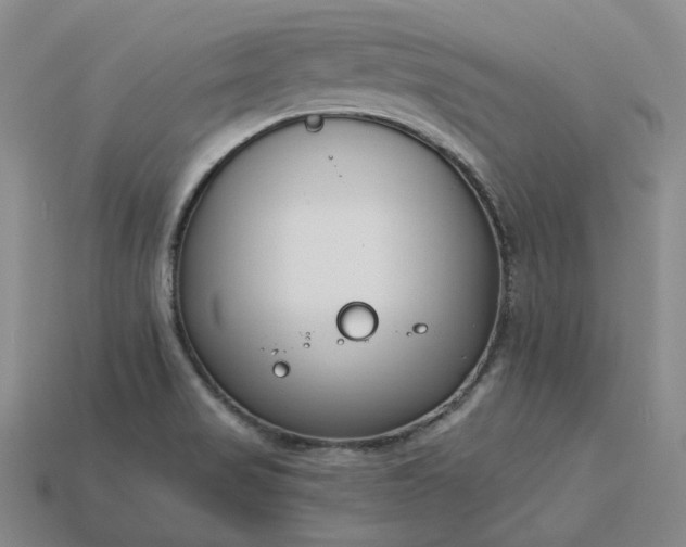 X0000115251517200911131714