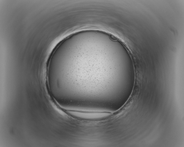X0000115251519200911131714