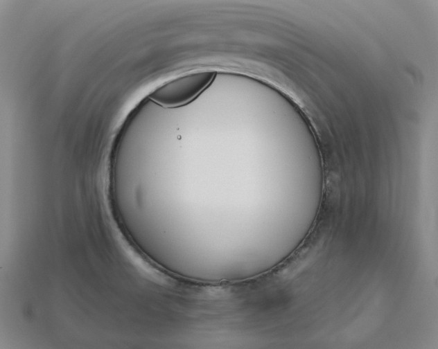 X0000115251523200911131714