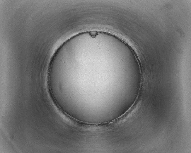 X0000115251525200911131714
