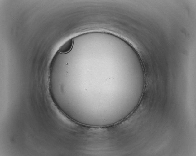 X0000115251526200911131714