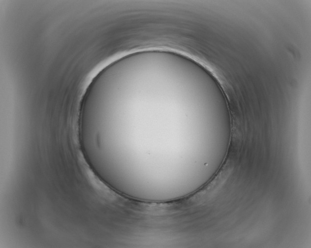 X0000115251534200911131714