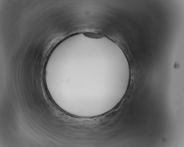 X0000115250001200911201653