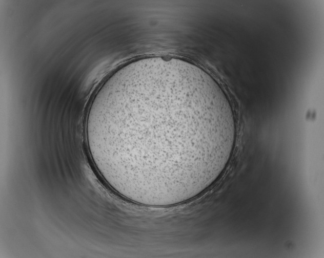 X0000115250002200911201653