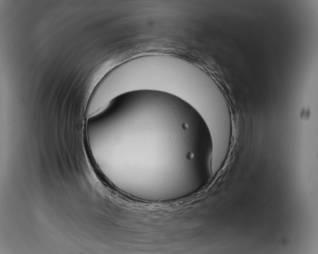 X0000115250003200911201653