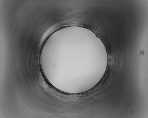 X0000115250004200911201653