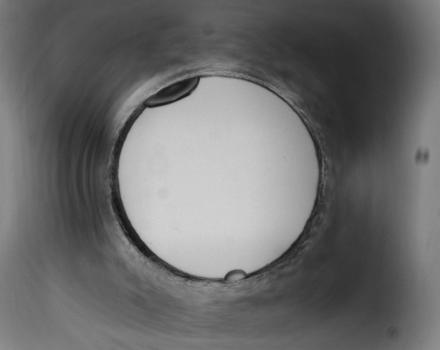 X0000115250007200911201653