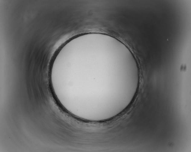 X0000115250008200911201653