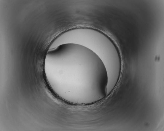 X0000115250009200911201653