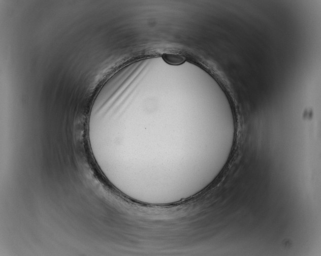 X0000115250010200911201653