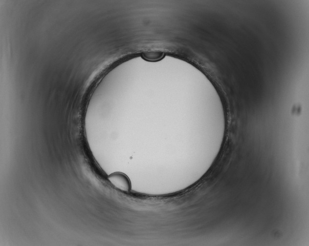 X0000115250012200911201653