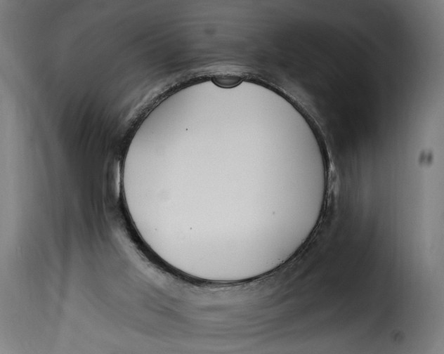 X0000115250013200911201653