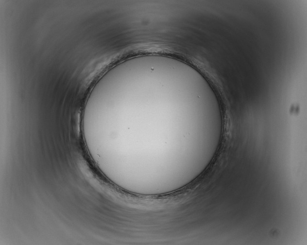 X0000115250014200911201653