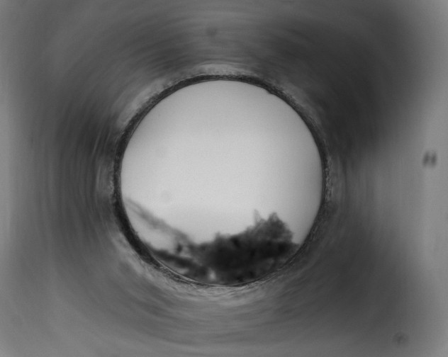 X0000115250015200911201653