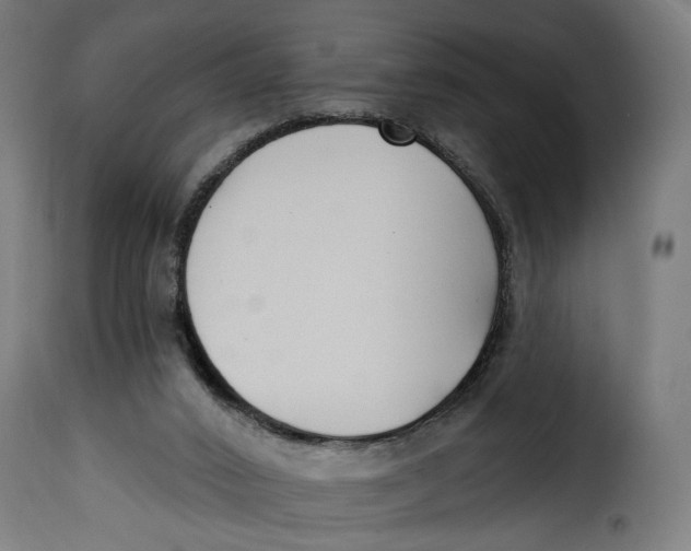 X0000115250016200911201653