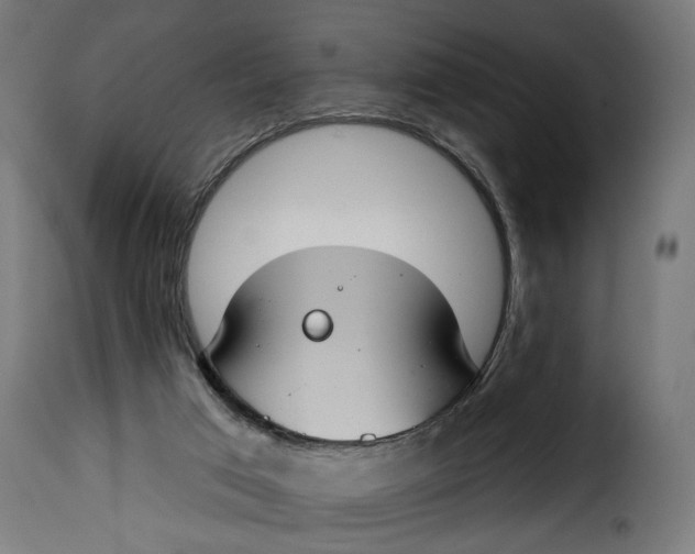 X0000115250017200911201653