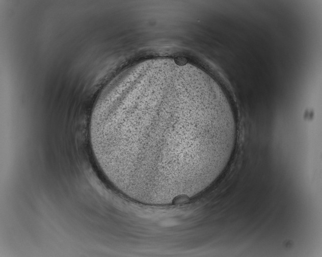 X0000115250018200911201653