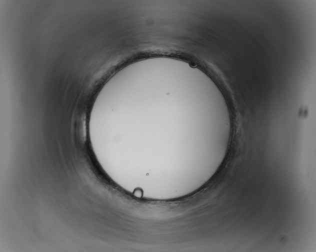 X0000115250020200911201653