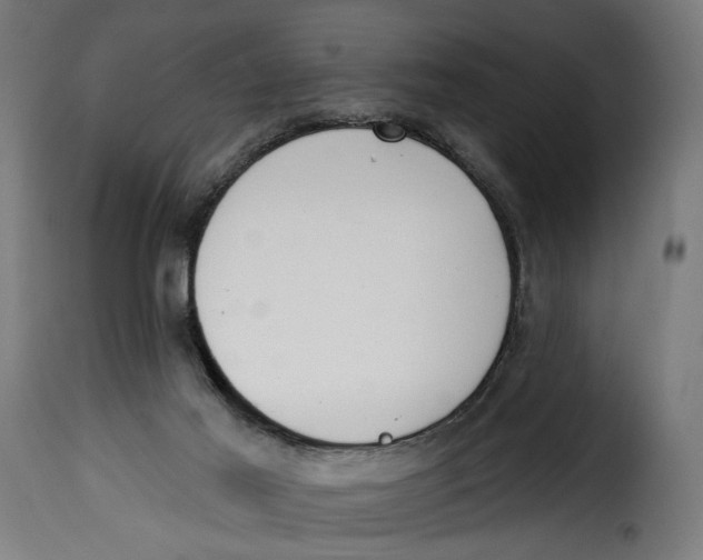 X0000115250021200911201653