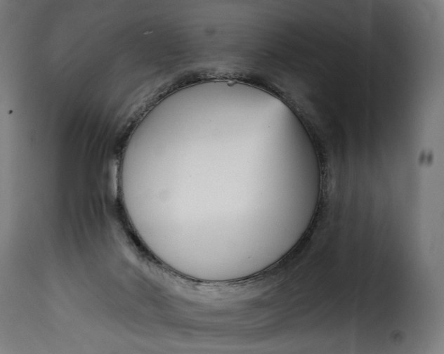 X0000115250022200911201653