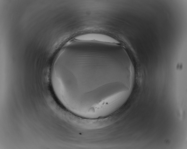 X0000115250023200911201653