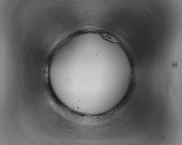 X0000115250024200911201653