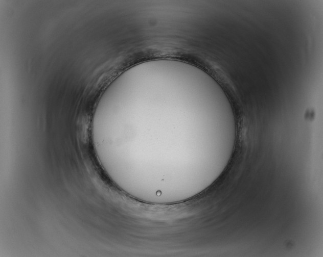 X0000115250026200911201653