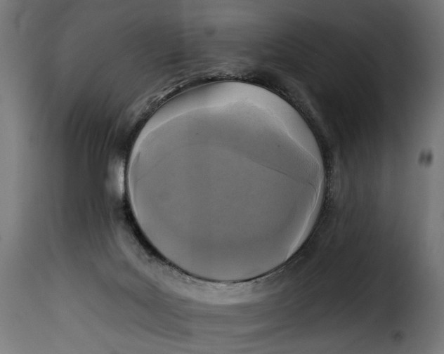 X0000115250027200911201653