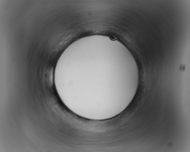 X0000115250028200911201653