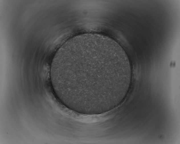 X0000115250029200911201653