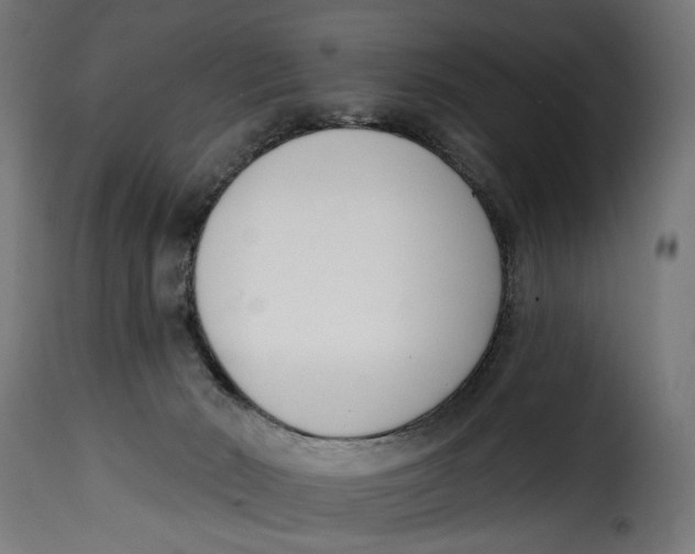 X0000115250030200911201653