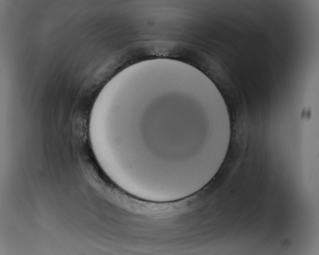 X0000115250031200911201653