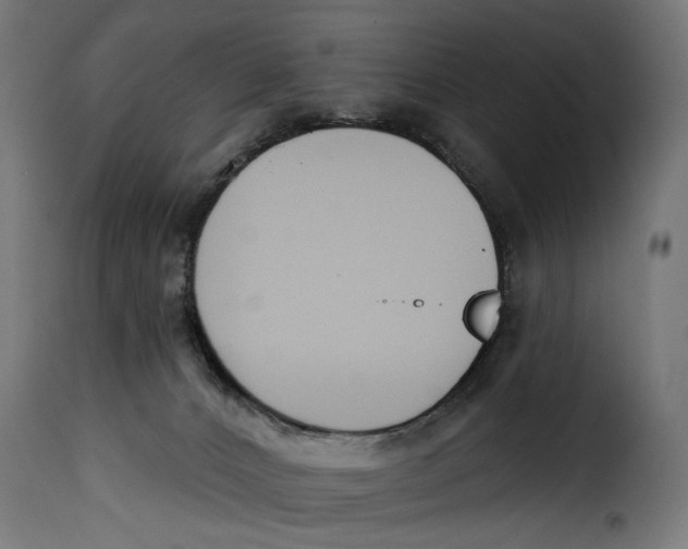 X0000115250032200911201653