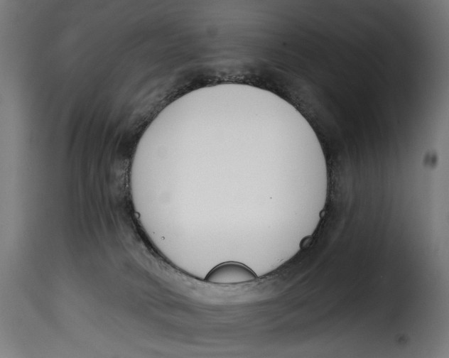 X0000115250034200911201653