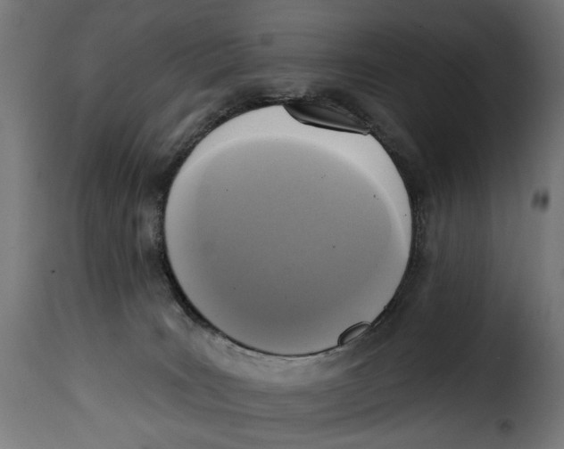 X0000115250035200911201653