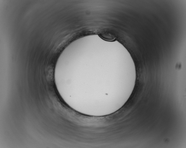 X0000115250036200911201653