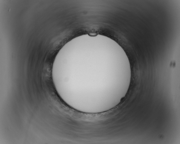 X0000115250037200911201653