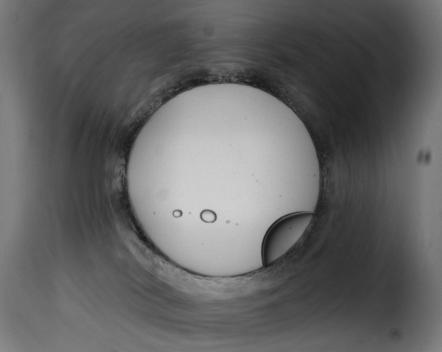 X0000115250038200911201653