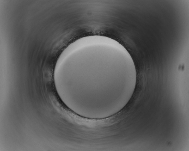 X0000115250039200911201652