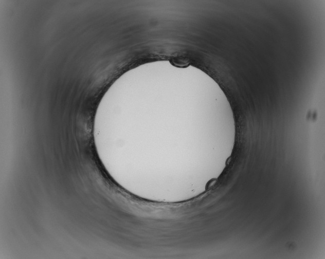 X0000115250040200911201652